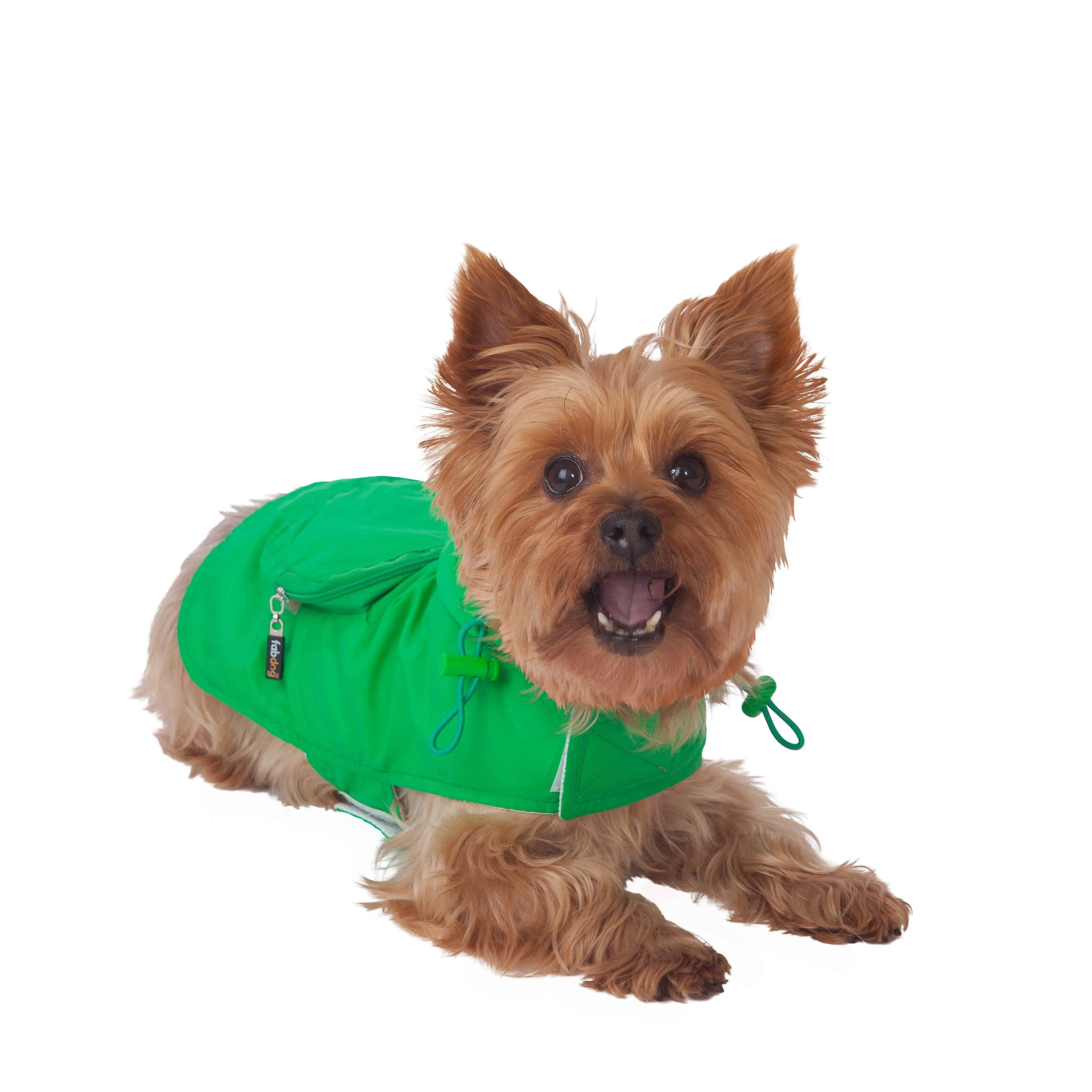 Fabdog | Green Packaway Dog Raincoat