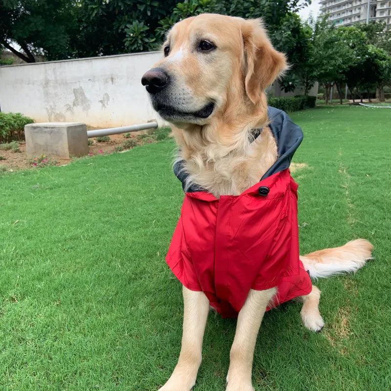 PoochMate Two Toned Rain Coat - Red & Charcoal