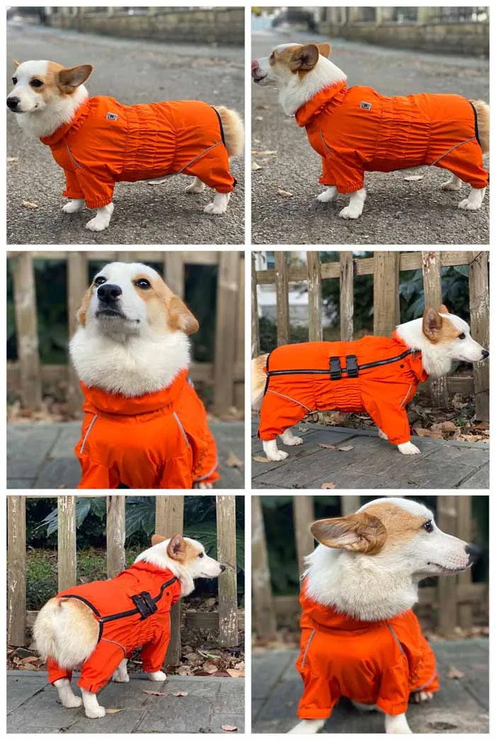 RAINCOATS LOVE LONG LONG  Dog waterproof suit