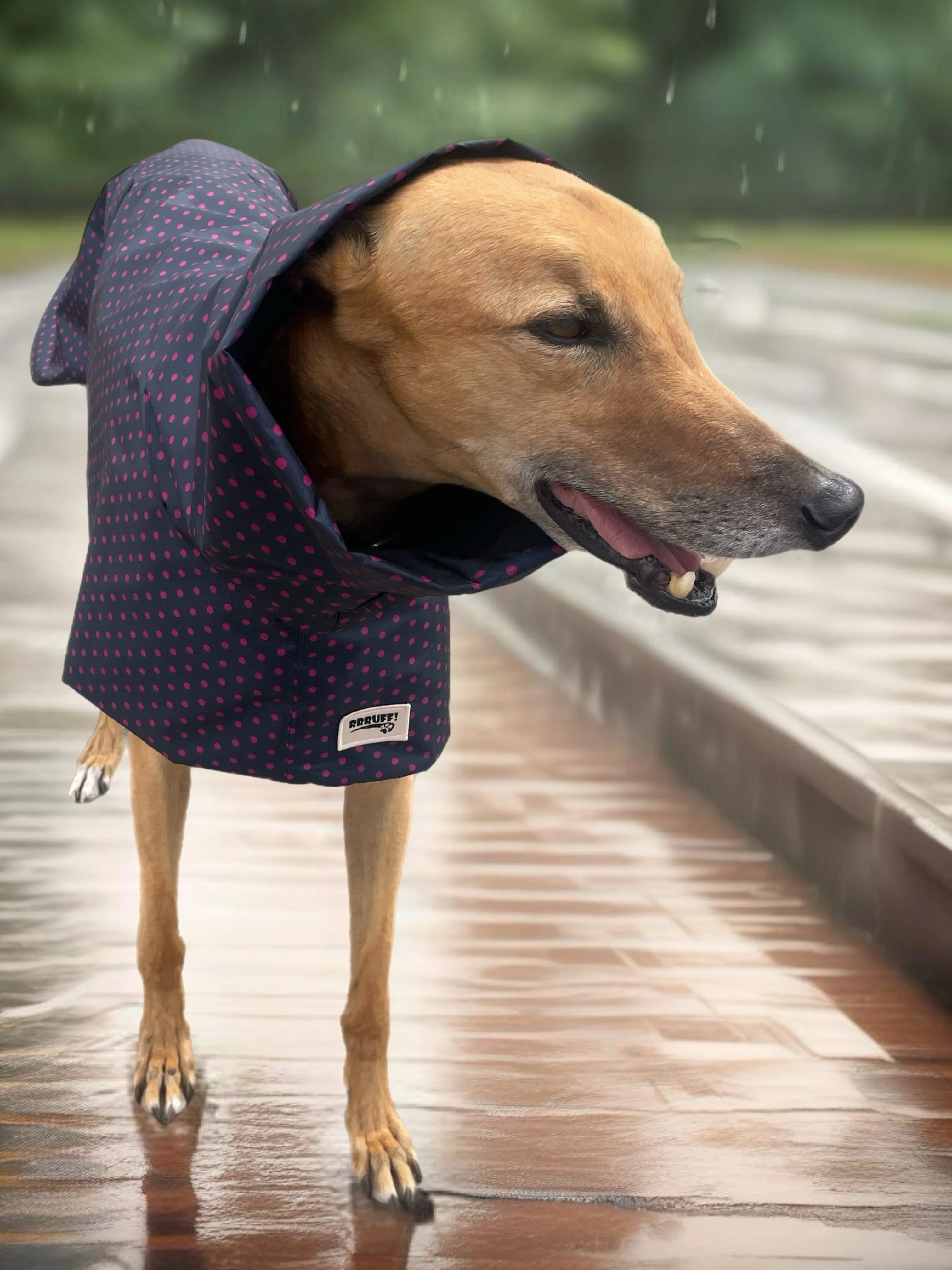 Summer rainwear navy Greyhound deluxe style, spring showers, ultra lightweight,  washable